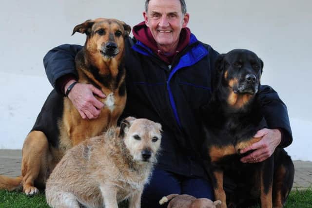 Jerry Forbes with three of his four beloved dogs. Picture: Kate Shemilt