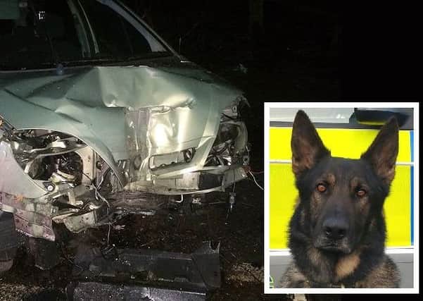 The car was left in a bad state after the collision. Inset: PD Vinnie. Pictures: Sussex Police