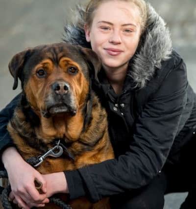 Reunited: Jodie Dellow and Chance (Photograph: Darren Cool)