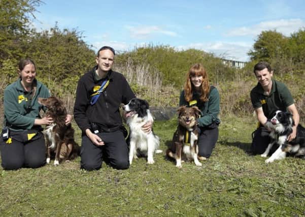 Staff and volunteers at Dogs Trust Shoreham say the new training barn is a valuable addition to the centre