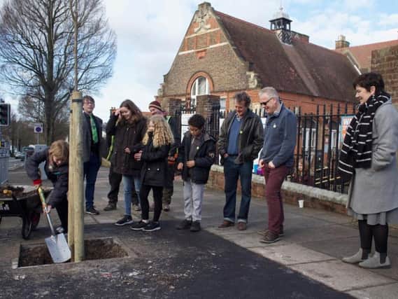 The tree was plated outside Elm Grove School