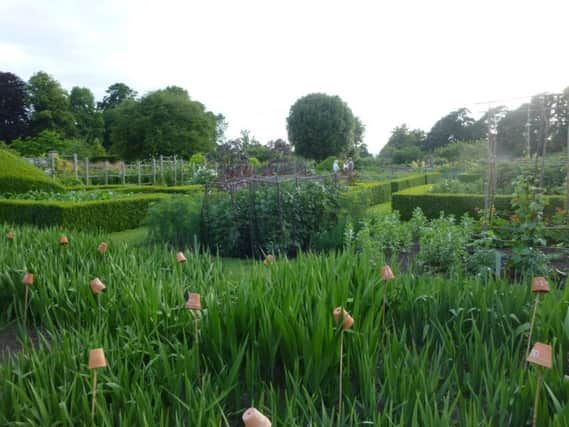 The gardens at Parham