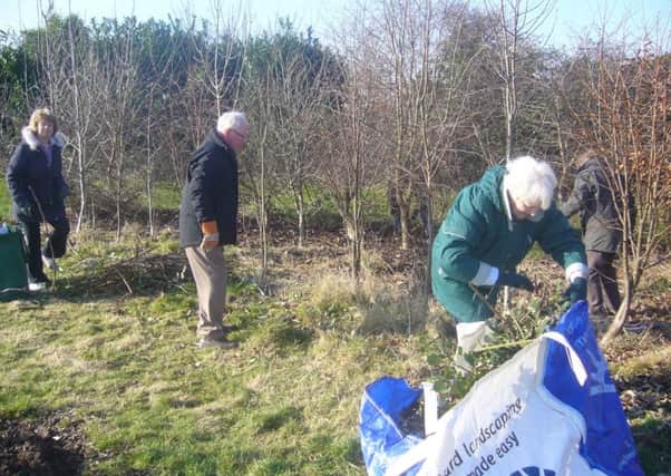 Ferring conservation group work at community orchard