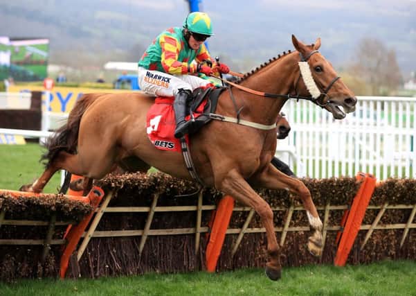 Lil Rockerfeller during the Sun Bets Stayers' Hurdle at the Cheltenham Festival last season. Picture: PA Images