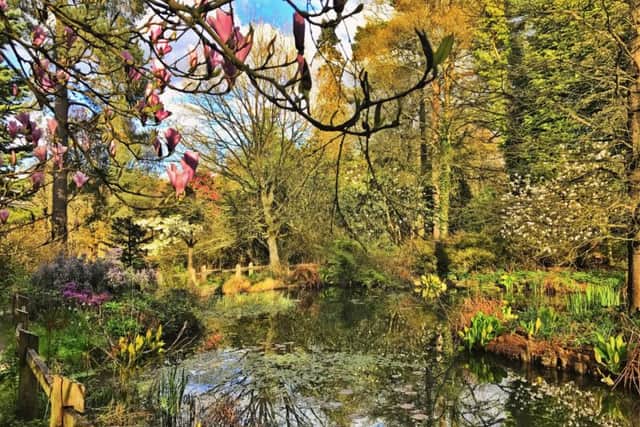 Picture by Clare Thurgood