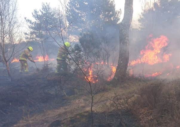 Firefighters attempted to surround the blaze. Picture: West Sussex FRS