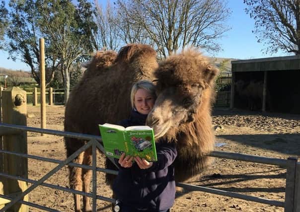 Lofty the Camel enjoys a read SUS-180103-110210001