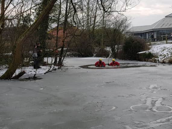 The two boys were rescued by fire crews after becoming trapped in the middle of a pond in East Grinstead. Picture: Amy Latter