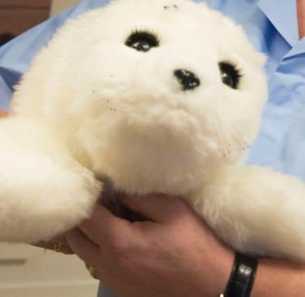 Paro the robotic therapy seal pup