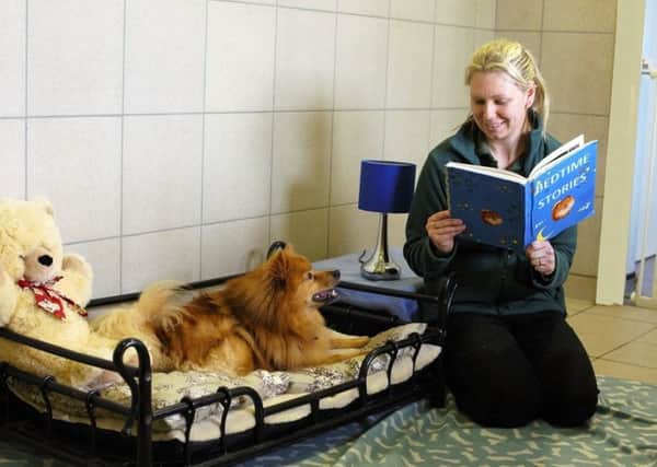 A bedtime story for Red Ted during his time at Dogs Trust Shoreham
