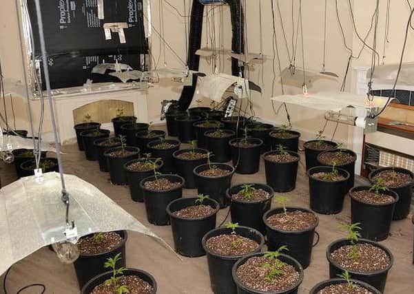 Police have seized 60 cannabis seedlings from a flat in Norfolk Road, Littlehampton. Picture: Sussex Police