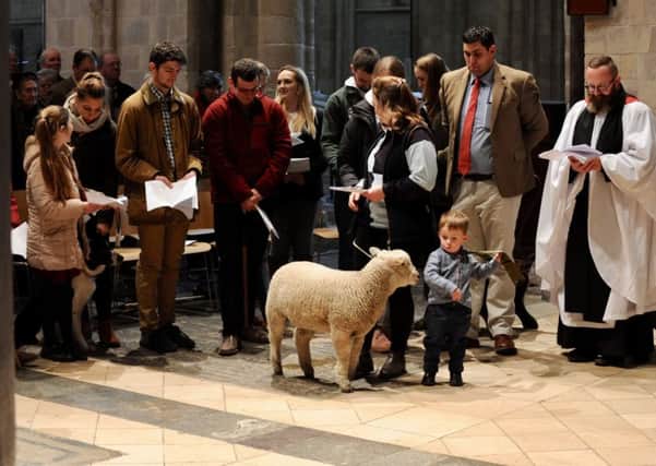 Noel the sheep at the Chichester Cathedral service. Picture: Stephen Goodger