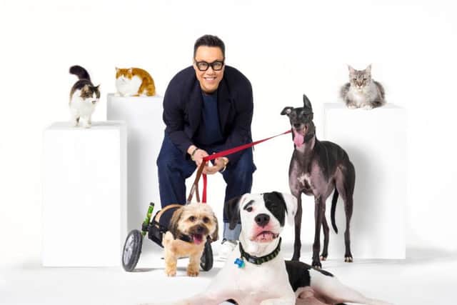 Gok Wan and Real Pets campaign