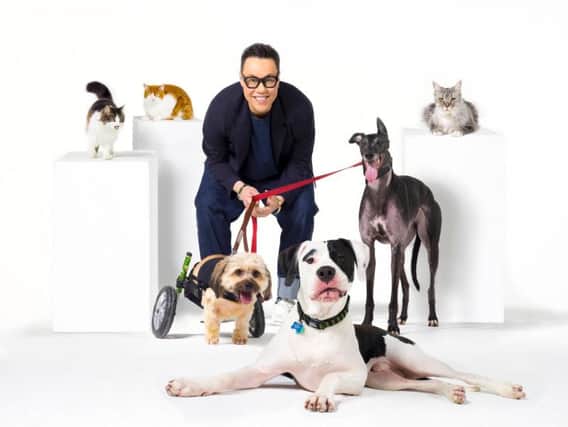 Gok Wan and Real Pets campaign