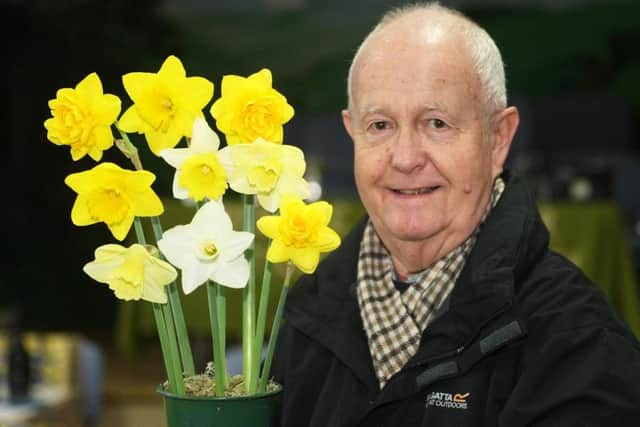 Alasdair MacCulloch with some of his prize-winning daffodils. Pictures: Derek Martin DM1831550a