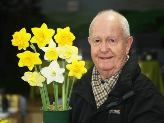 Alasdair MacCulloch with some of his prize-winning daffodils. Pictures: Derek Martin DM1831550a