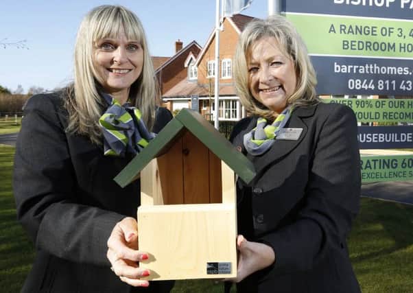 Barratt Homes staff working to give nature a home