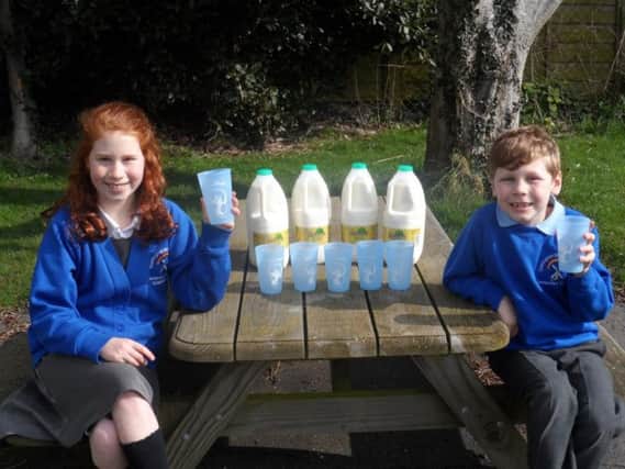 Sophia and Alex Dumighan asked their school to stop using plastic straws. Picture courtesy of Durrington Infant and Junior School
