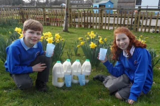 Sophia and Alex Dumighan asked their school to stop using plastic straws. Picture courtesy of Durrington Infant and Junior School
