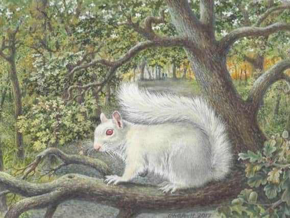The ghost squirrel of Goffs Park, by Denys Ovenden