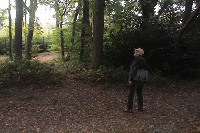 Denys Ovenden surveying the oak and hornbeam woodland of Goffs Park