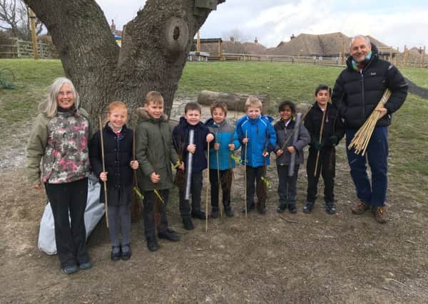 Bexhill Tree Planting SUS-180320-090714001
