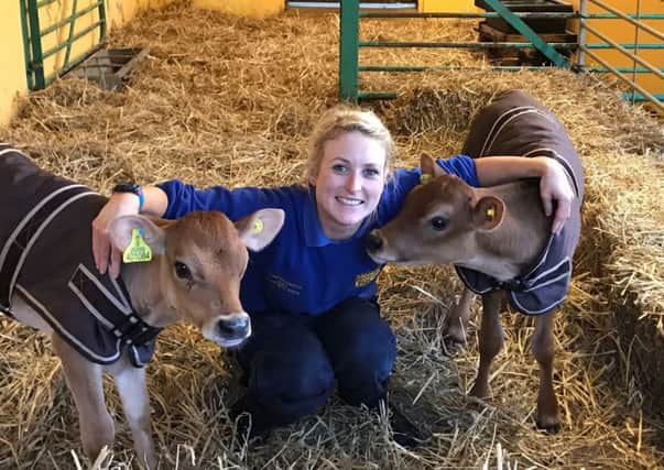 Deputy Head Keeper, Sophie Leadbitter, with new calves at Drusillas Park SUS-180320-153433001