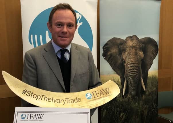 Nick Herbert MP wants a ban on the sale of ivory