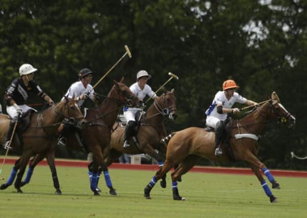 Polo action at Cowdray Park / Picture by Clive Bennett