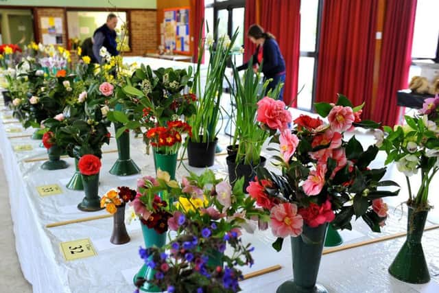Beautiful blooms at the show. Picture: Steve Robards