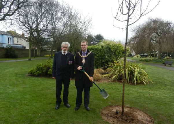 Tom Wye and Alex Harman plant a memorial tree in Beach house park 100 years on from the end of World War One.