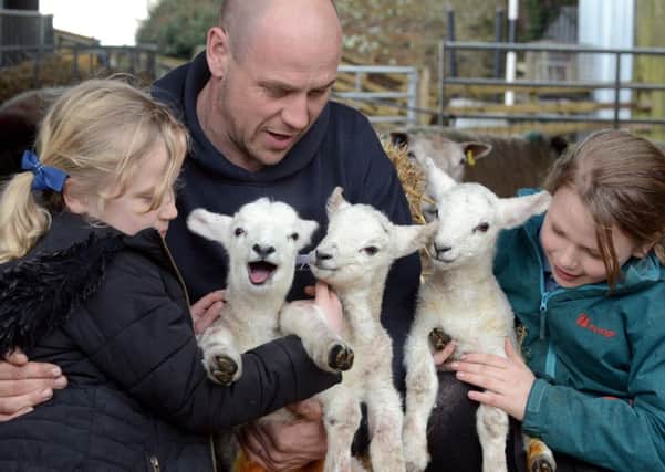Shepherd Darren Sercombe with his children Imogen, eight and Robin, nine and triplet lambs born at Gaston Farm SUS-180327-220649008