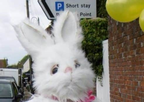 Easter Bunny in Pulborough