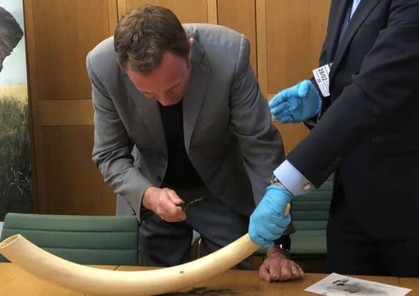 The ban announced this week will cover ivory items of all ages
