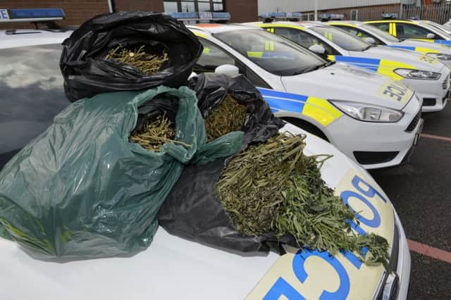Large amount of cannabis dumped in Eastbourne Street (Photo by Jon Rigby) SUS-180504-103413008