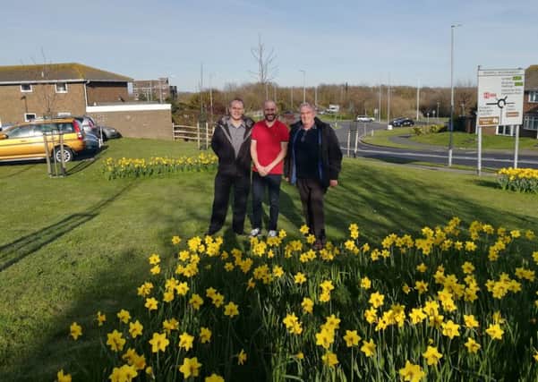 Rodmill councillors with the new daffodils SUS-181004-141610001
