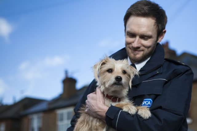 RSPCA launches new campaign