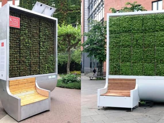 A glimpse at a piece of 'the living wall', set to be installed at Edward Street