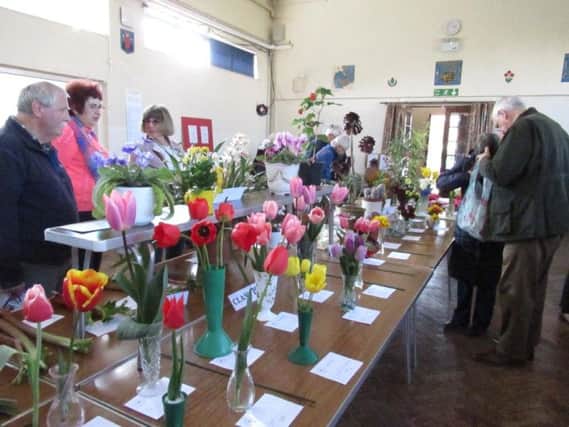 Entries at East Preston and Kingston Horticultural Societys spring show
