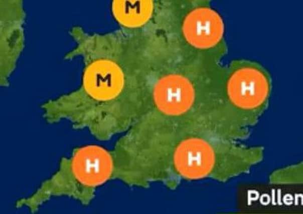 A High pollen count is forecast for Peterborough this week