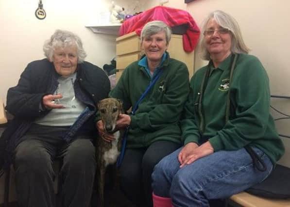 Jenny Bunting Pictured with her Lifetime Achievement Award, Pearl the greyhound and Brighton Retired Greyhound Trust Kennel Supervisors Caz and Carol