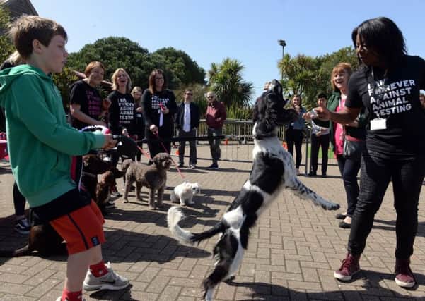Pooches put to the test at the Body Shop dog day in Littlehampton ks180173-7