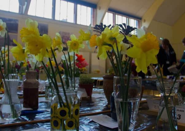 Westfield Horticultural Society Spring Show 2018 SUS-180425-115141001