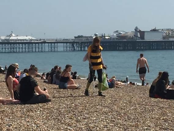 A bumblebee litter picker on Brighton beach
