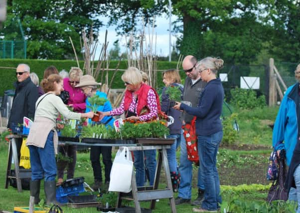 The plant sale gives gardeners a chance to add to their garden