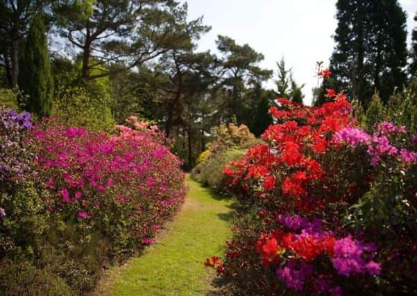 The gardens are full of picturesque blooms