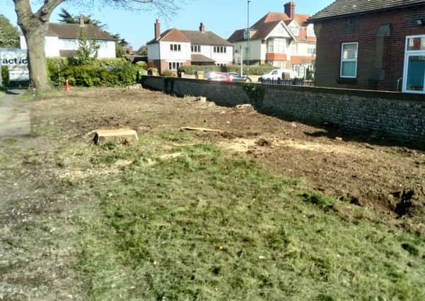 Four trees on the Littlehampton Hospital site land in the town centre were chopped down - but Jan Lewis saved the final oak tree, pictured far left. Picture: Jan Lewis