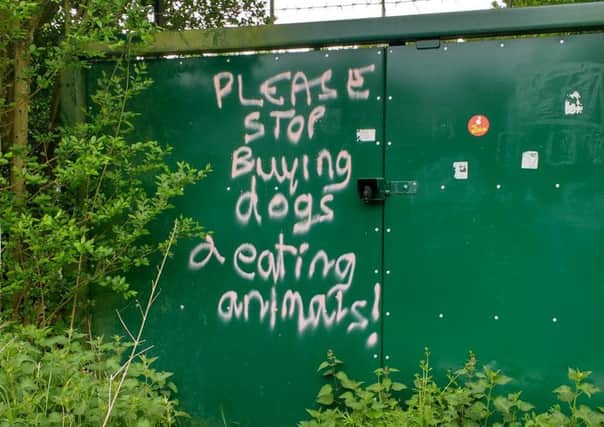 The graffiti found by Anna Harris while out walking her dog