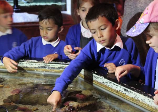Pupils enjoy the Sea Life Centre