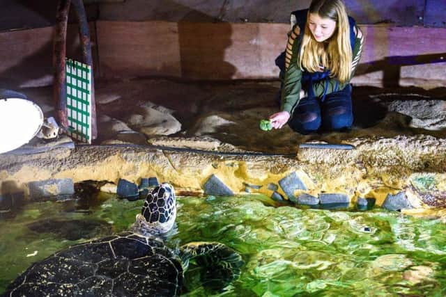 Morgan Yates, 14, is working on turtle conservation with Sea Life Trust